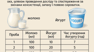 Науково-дослідницький проект: «Дослідження швидкості утворення йогурту залежно від кількість молочнокислих бактерій »