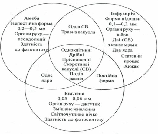 09005vxj-d63e-522x442.png
