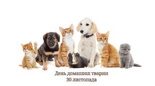 Сценарій виховного заходу до Дня домашніх тварин (30 листопада)