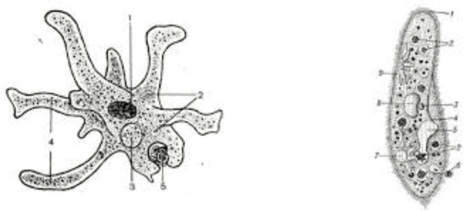 09005wqs-4376-940x421.png