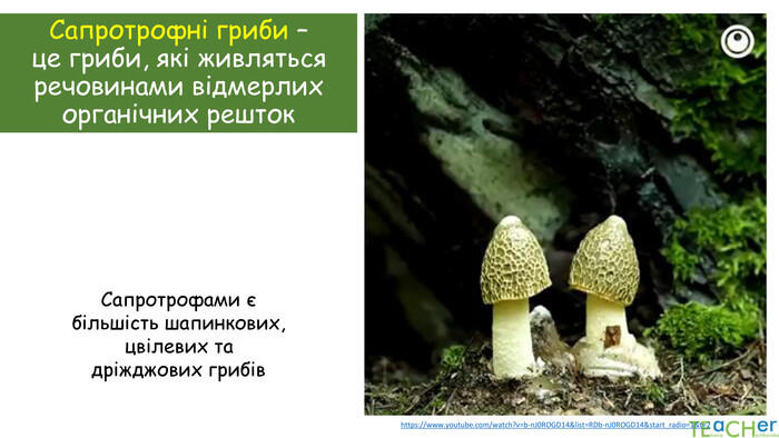 09005x90-74d5-700x394.jpg