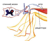09005xgz-8989-199x166.png