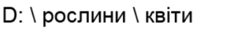 09005z2h-3416-347x47.png