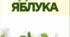 Брошура "День яблука"