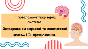Презентація. Гіпоталамо-гіпофізарна система.  Захворювання нервової та ендокринної систем і їх профілактика.