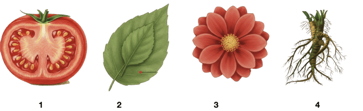 090061ek-ade3-719x220.png
