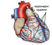 09006207-4a2b-168x148.png