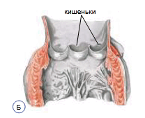 0900620i-ed5e-208x170.png