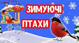 Міні-проєкт «Зимуючі птахи» (середня група)