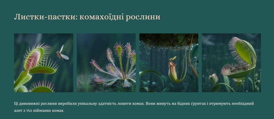 090065z7-532f-940x411.png