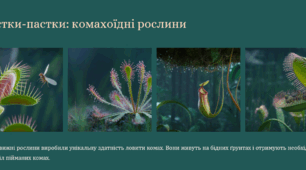 Взаємозв’язки між різними органами рослини. Рухи рослин.