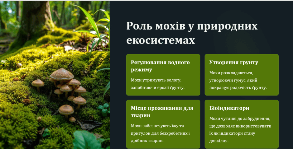 09006642-7d7c-940x479.png