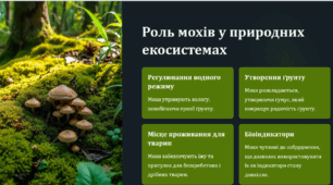 Вищі спорві рослини. Мохи. Відкритий урок (урок обміну досвідом)