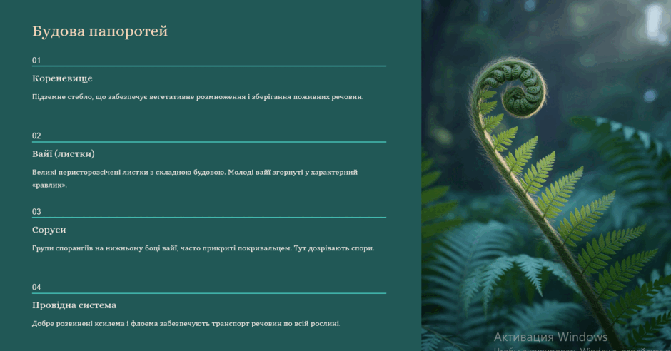 09006666-cd06-940x492.png