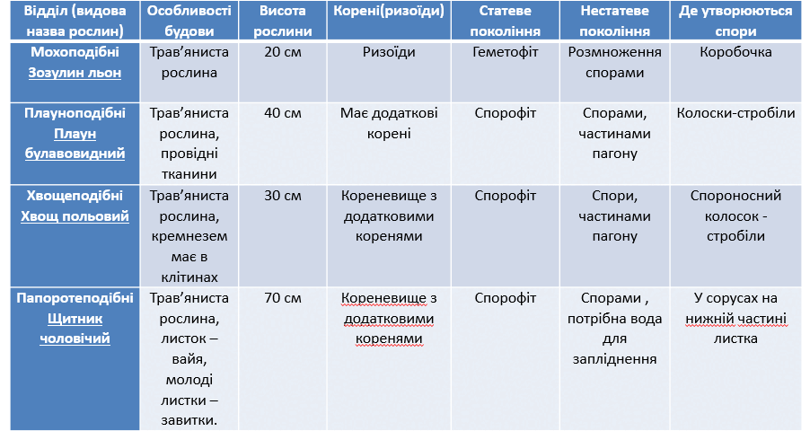 0900668d-ed1c-902x480.png