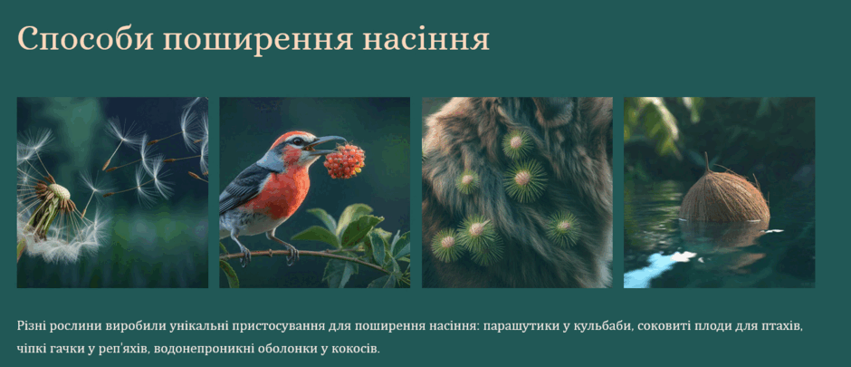 090066af-a657-940x405.png