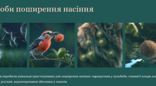 Насінні рослини. Будова насінини
