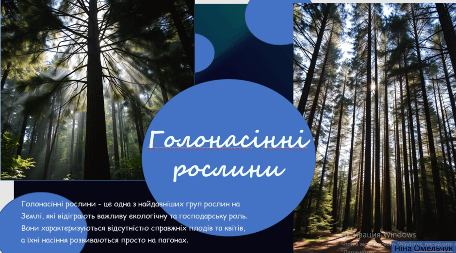 090066dj-64f6-940x521.png
