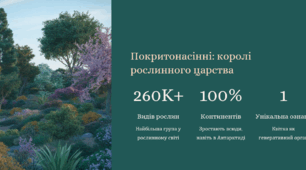 Покритонасінні рослини: квітка і суцвіття