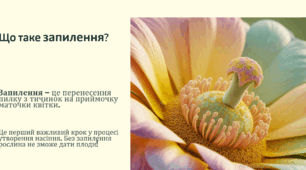 Особливості розмноження насінних рослин