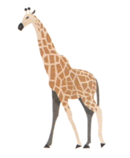 090066k9-d8ce-189x229.png