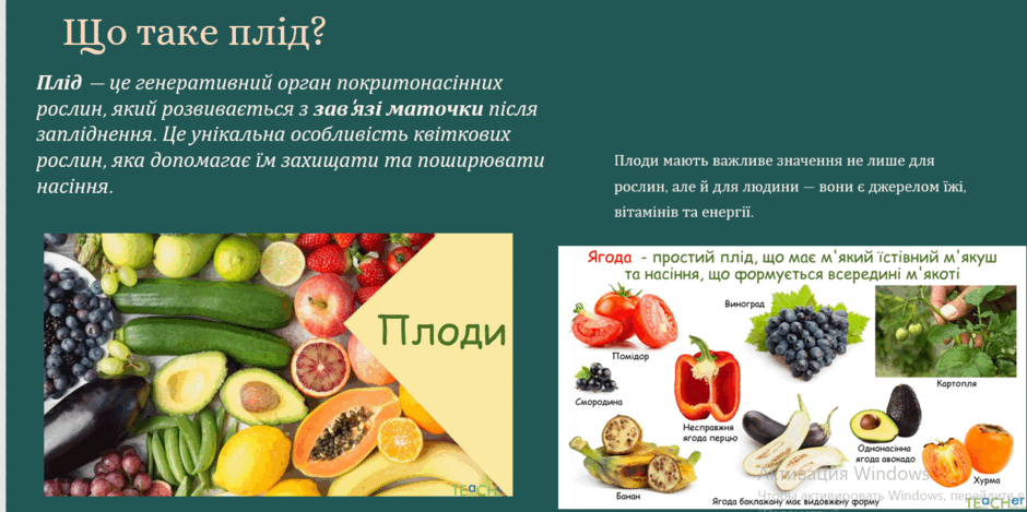 090066ke-94da-940x469.png