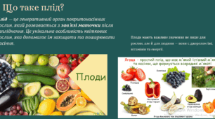 Плід. Способи поширення насіння та плодів