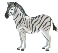 090066ln-c84f-198x182.png