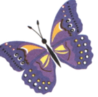 090066m1-34c2-142x141.png