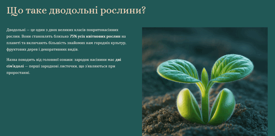 090066nh-8e95-940x466.png