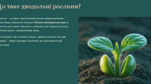 Різноманітність покритонасінних: дводольні рослини