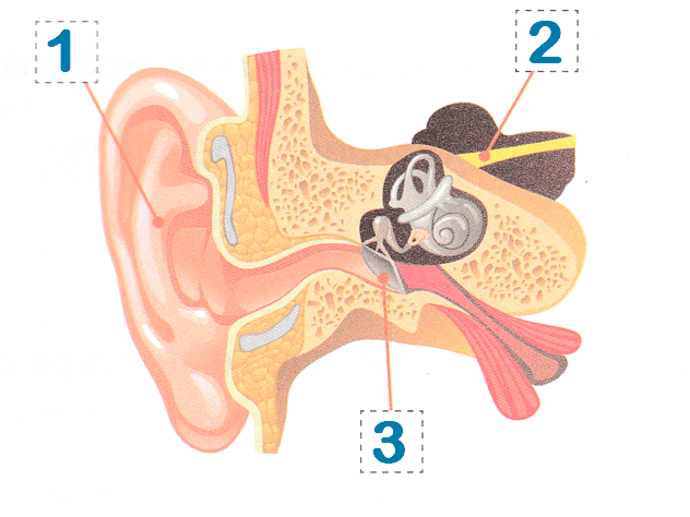 09006822-67eb-632x474.png
