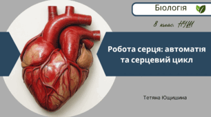 Робота серця:  автоматія та серцевий цикл. 8 клас. НУШ