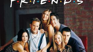 Діагностична контрольна робота 8 клас FRIENDS FOREVER