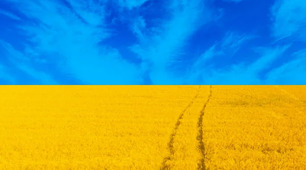 В. Винниченко. Життя і творчість. Новела "Момент"