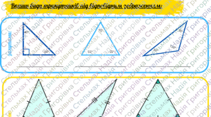 Робочий аркуш "Види трикутників"