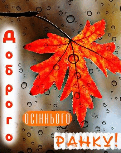 09006dp4-509b-388x491.png