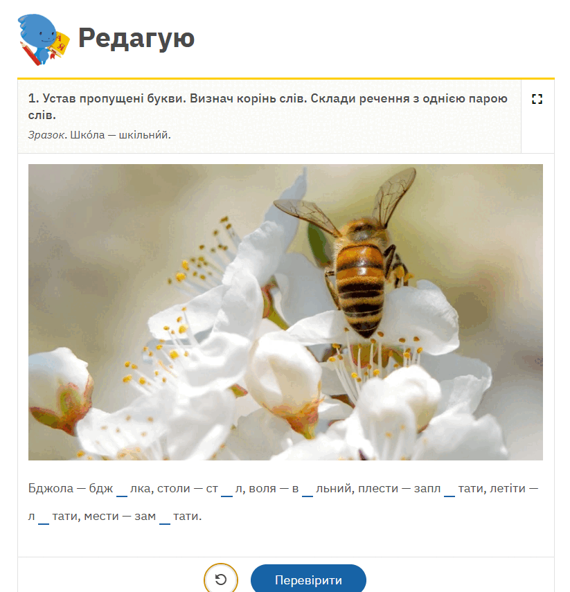 09006duq-e912-823x855.png