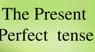  Present Perfect