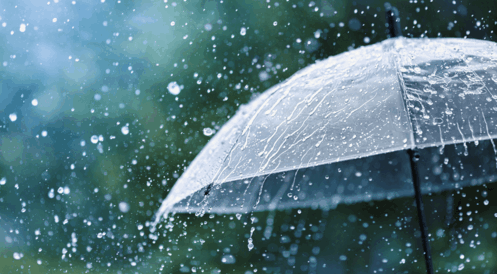 09006jny-a469-497x274.png