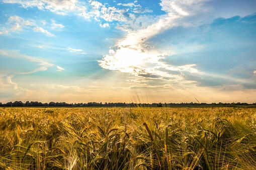 09006jqa-6598-509x339.jpg
