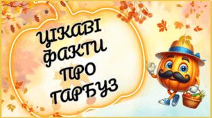 День гарбуза: розтяжка, цікаві факти.