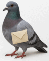 09006kr8-1fd8-96x120.png