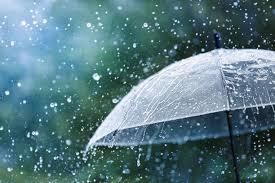 686,500+ Rainy Weather Stock Photos, Pictures & Royalty-Free Images - iStock | Rainy weather road, Rainy weather uk, Rainy weather driving