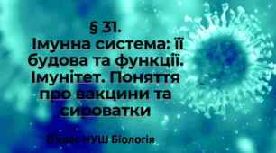 Презентація  до уроку  «§ 31.Імунна система: її будова та функції. Імунітет. Поняття про вакцини та сироватки» 8клас НУШ