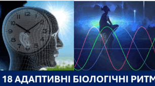 § 18 АДАПТИВНІ БІОЛОГІЧНІ РИТМИ