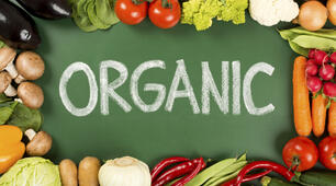 It’s Organic So It Must Be Good! Ex.2 p.74-75