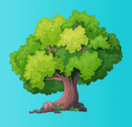 09006wwr-6fd0-187x179.png