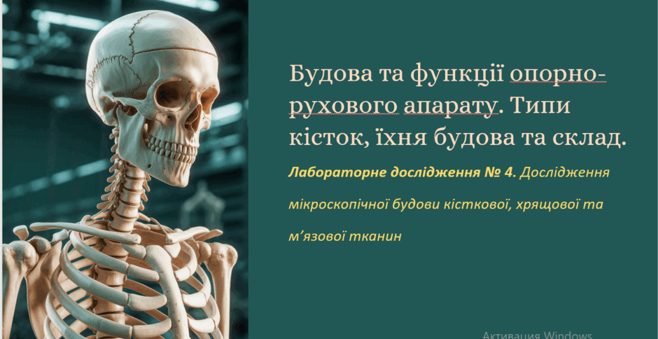 09006zom-e757-940x484.png