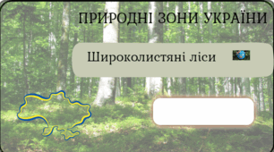 Фліпбук природні зони України "Широколистяні ліси" 8 клас НУШ